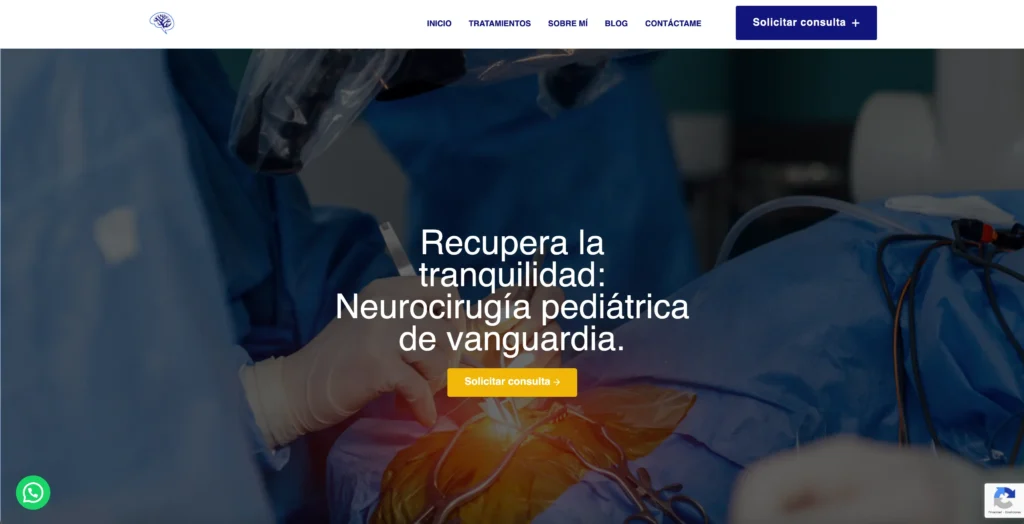 proyecto web neuropedia