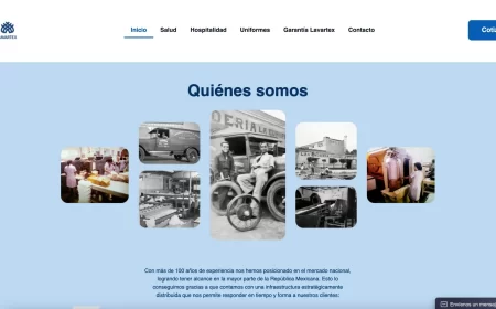 proyecto web lavartex