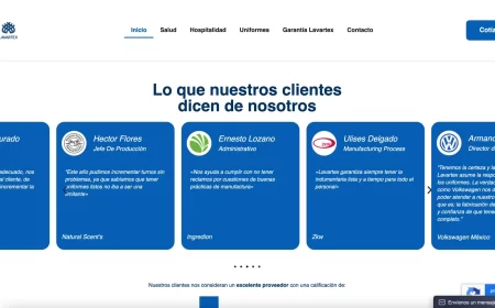 proyecto web lavartex