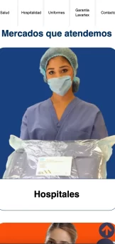 proyecto web lavartex