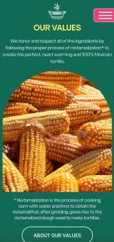 proyecto web tacotomia