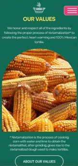 proyecto web tacotomia