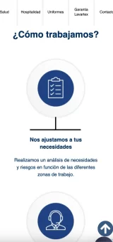 proyecto web lavartex