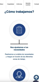 proyecto web lavartex