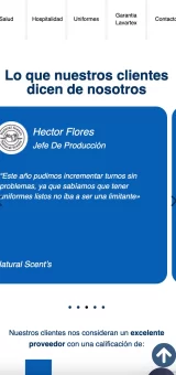 proyecto web lavartex